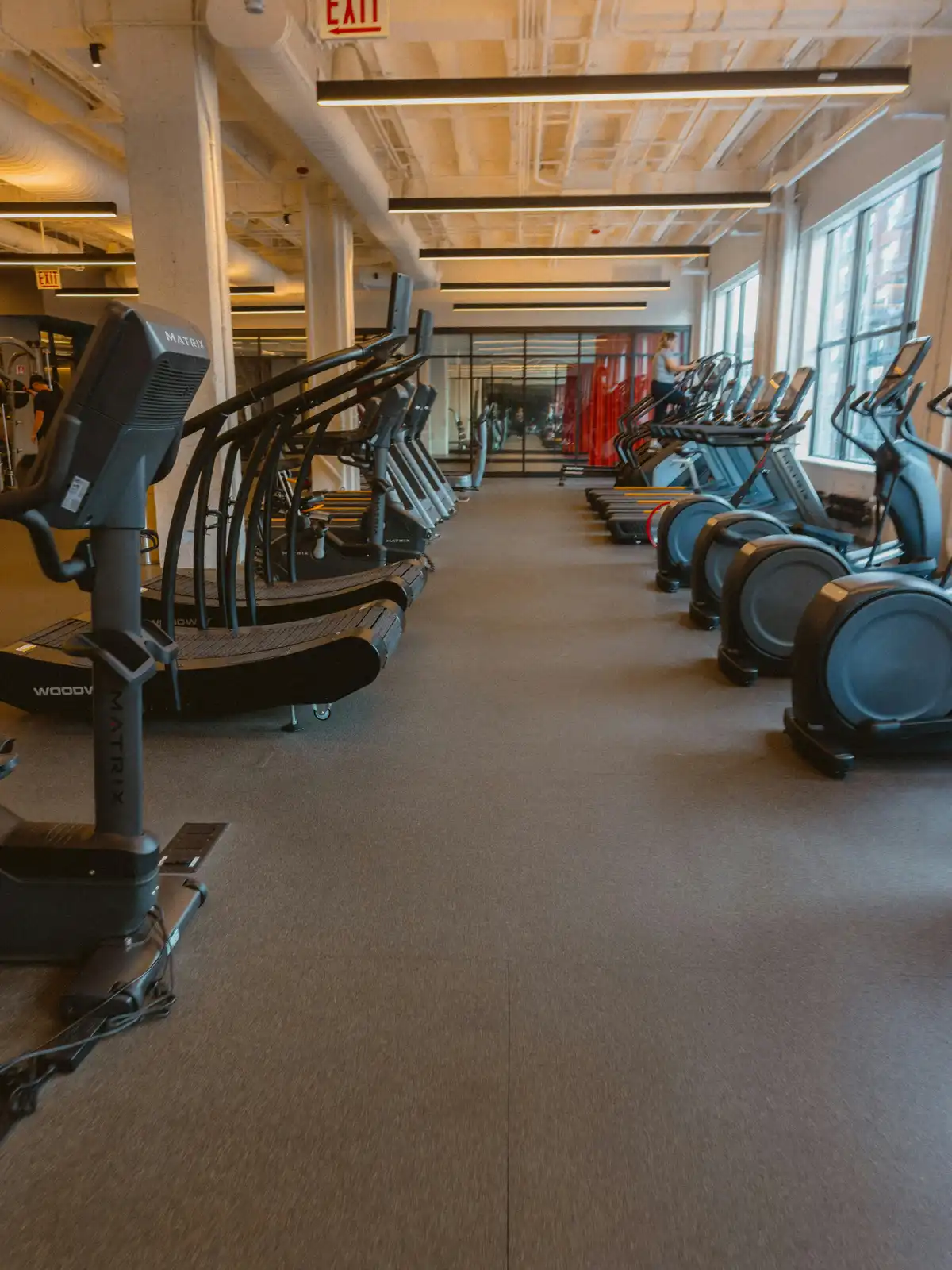Trimlane — gym